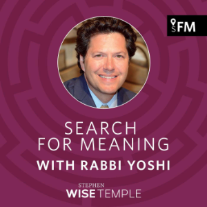 Search for Meaning with Rabbi Yoshi-logo