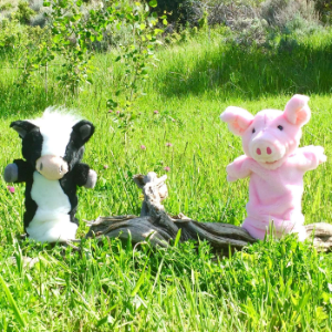 Pinkie The Pig Podcast-logo