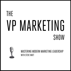 The VP Marketing Show-logo