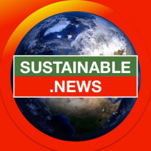 A Travel Companion-logo