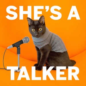 She’s A Talker-logo
