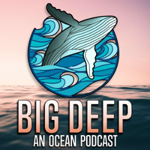 Big Deep - An Ocean Podcast-logo