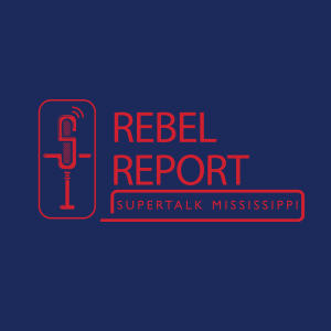 The Rebel Report with Michael Borkey-logo
