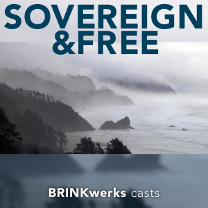 The BRINKwerks's Podcast-logo
