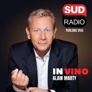 IN VINO SUD RADIO-logo