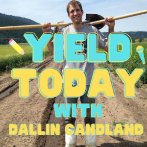 YIELD Today With Dallin Candland-logo