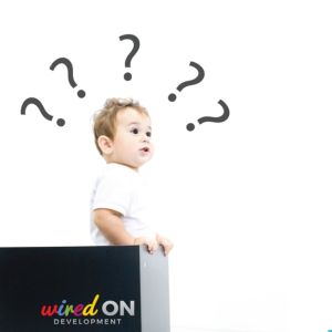 wiredON Development Interviews-logo