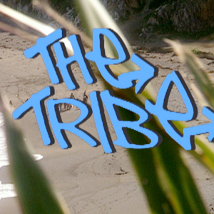The Tribe Official Podcast-logo