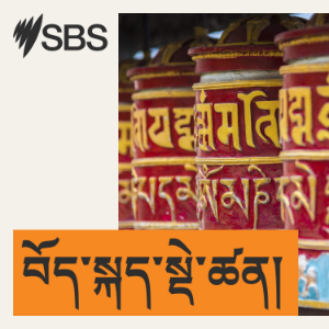 SBS Tibetan-logo