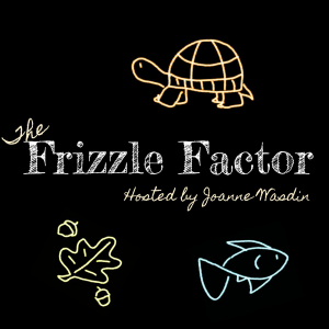 The Frizzle Factor-logo