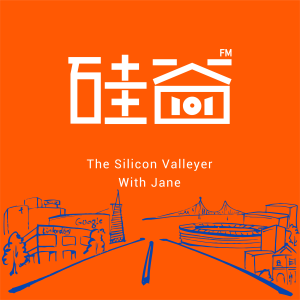 Silicon Valley 101-logo
