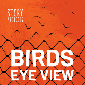 BIRDS EYE VIEW-logo