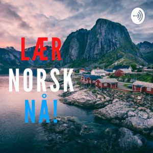 Lær Norsk Nå!-logo