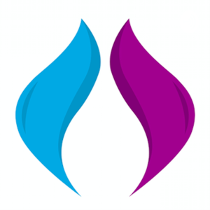 Twin Flame Guides: Spirituality And The Twin Flame Journey, Ascension, Awakening, Golden Age-logo