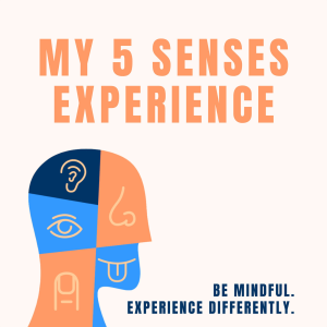 My 5 Senses Experience-logo