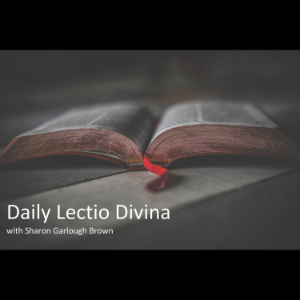 Daily Lectio Divina-logo