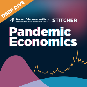 Pandemic Economics