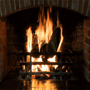 Crackling Fireplace with Thunder Rain-logo