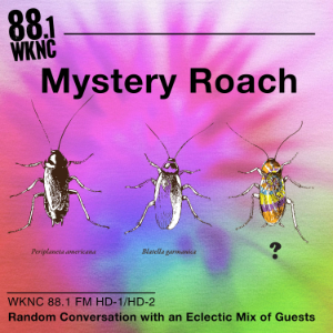 Mystery Roach-logo