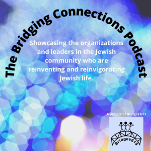 The Bridging Connections Podcast-logo