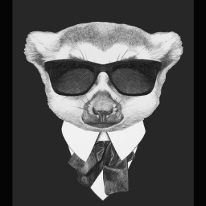 A Conspiracy of Lemurs-logo