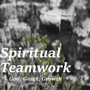 Spiritual Teamwork-logo