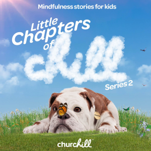 Little Chapters of Chill-logo