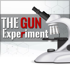 The Gun Experiment-logo