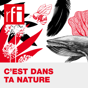 C'est dans ta nature - Tester par le bout du nez : des chiens contre le Covid-19-logo