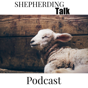Shepherding Talk-logo