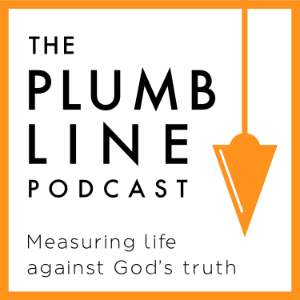 The Plumb Line-logo