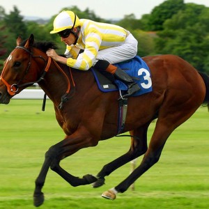 Horse Racing-logo