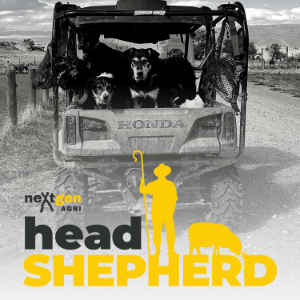 Head Shepherd-logo