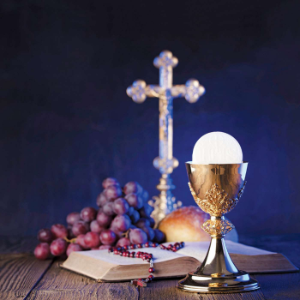 Daily TV Mass-logo