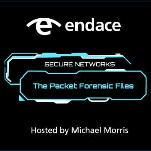 Secure Networks: Endace Packet Forensics Files-logo