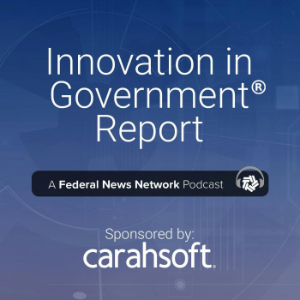Innovation in Government-logo