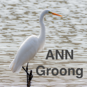 Armenian News Network - Groong: Week In Review Podcast-logo