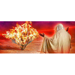 Len's Burning Bush-logo