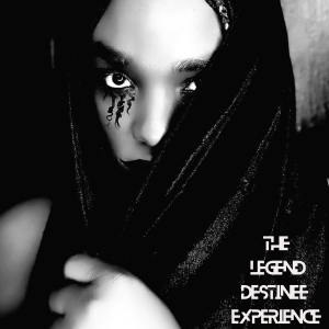 The Legend Destinee Experience-logo