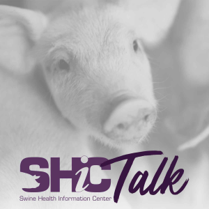 SHIC Talk-logo