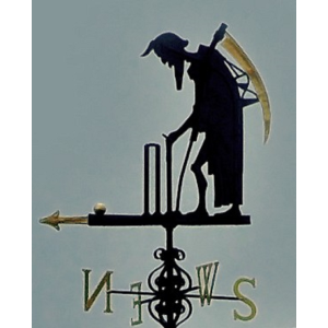 History of Cricket-logo