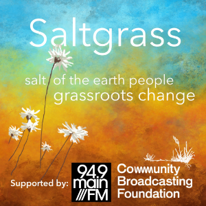 Saltgrass-logo