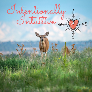 The Intentionally Intuitive Podcast-logo