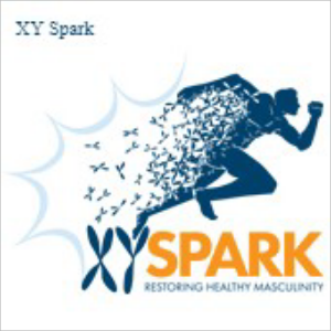 XY Spark-logo