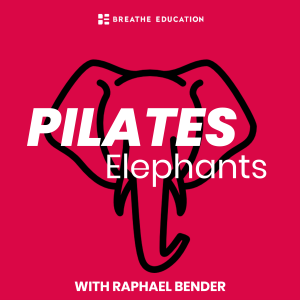 Pilates Elephants-logo