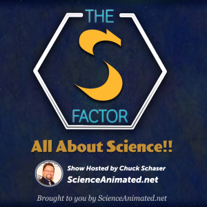 The S Factor-logo