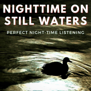 Nighttime on Still Waters-logo