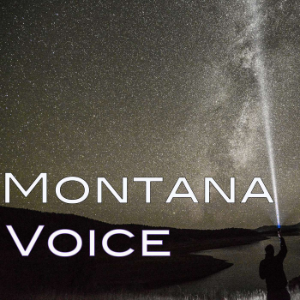 Montana Voice-logo
