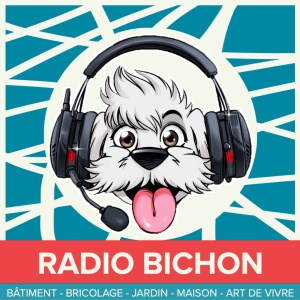 ARTICONNEX la solution responsable pour arrondir ces fin de mois - L'instant pro - radiobichon