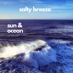 Salty Breeze Radio-logo